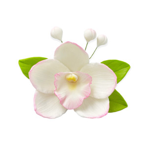 Цукрова прикраса Орхідея з листочками Біла з рожевим тонуванням