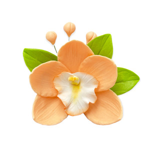 Цукрова прикраса Орхідея з листочками Персикова