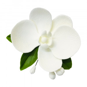 Цукрова прикраса Орхідея, біла